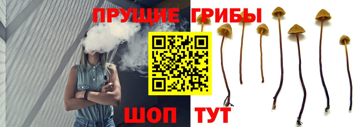 Галлюциногенные грибы мухоморы Сокол